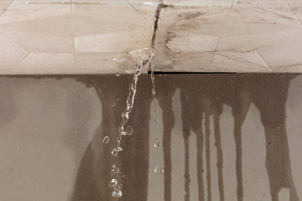 Professional Flood Damage Cleanup technician working in Berkley, MI